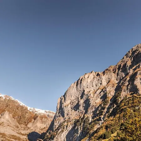 Fiescherblick Grindelwald