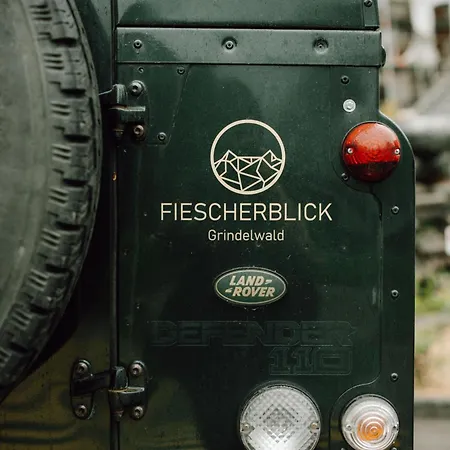 Fiescherblick *