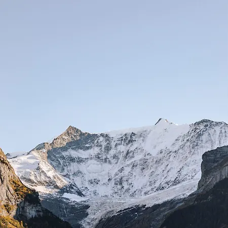 Hotel Fiescherblick