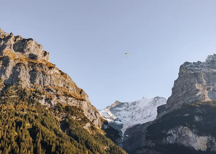 מלון Fiescherblick *