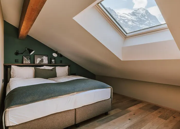 Fiescherblick מלון